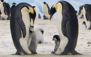 <div>製作札記</div><div>品牌名為Konny的由來，品牌化的起點</div><div><span>Konny嬰兒背帶</span></div><div>產品已就緒，但該叫什麼名字才好呢？</div>