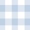 Blue Gingham Innerwear