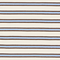 Blue Stripe baby