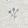 Gray Blue Flower