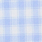 New Blue Check